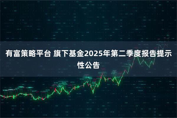 有富策略平台 旗下基金2025年第二季度报告提示性公告