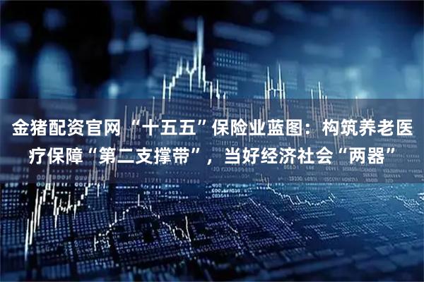 金猪配资官网 “十五五”保险业蓝图：构筑养老医疗保障“第二支撑带”，当好经济社会“两器”