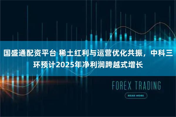 国盛通配资平台 稀土红利与运营优化共振，中科三环预计2025年净利润跨越式增长